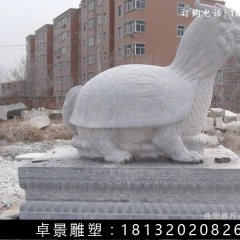 龍龜石雕，漢白玉龍龜?shù)袼? width=