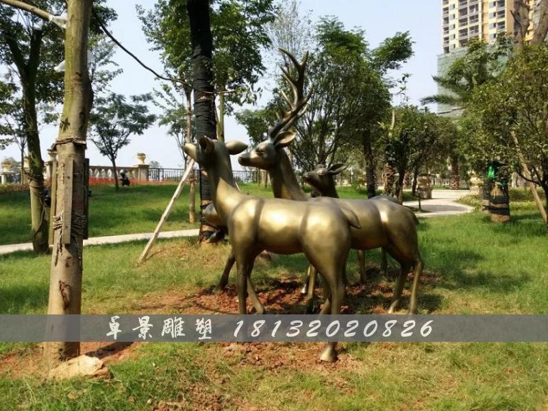 梅花鹿銅雕，公園動(dòng)物銅雕 (2)