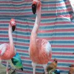 玻璃鋼火烈鳥雕塑，仿真火烈鳥雕塑