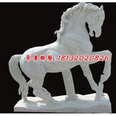 石雕馬，駿馬石雕，漢白玉駿馬雕塑