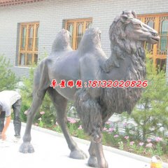 銅雕駱駝，公園動物銅雕