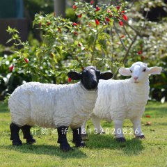 玻璃鋼仿真綿羊，玻璃鋼仿真綿羊雕塑