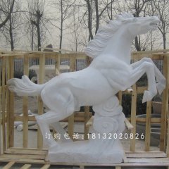 漢白玉石雕馬，廣場石馬雕塑