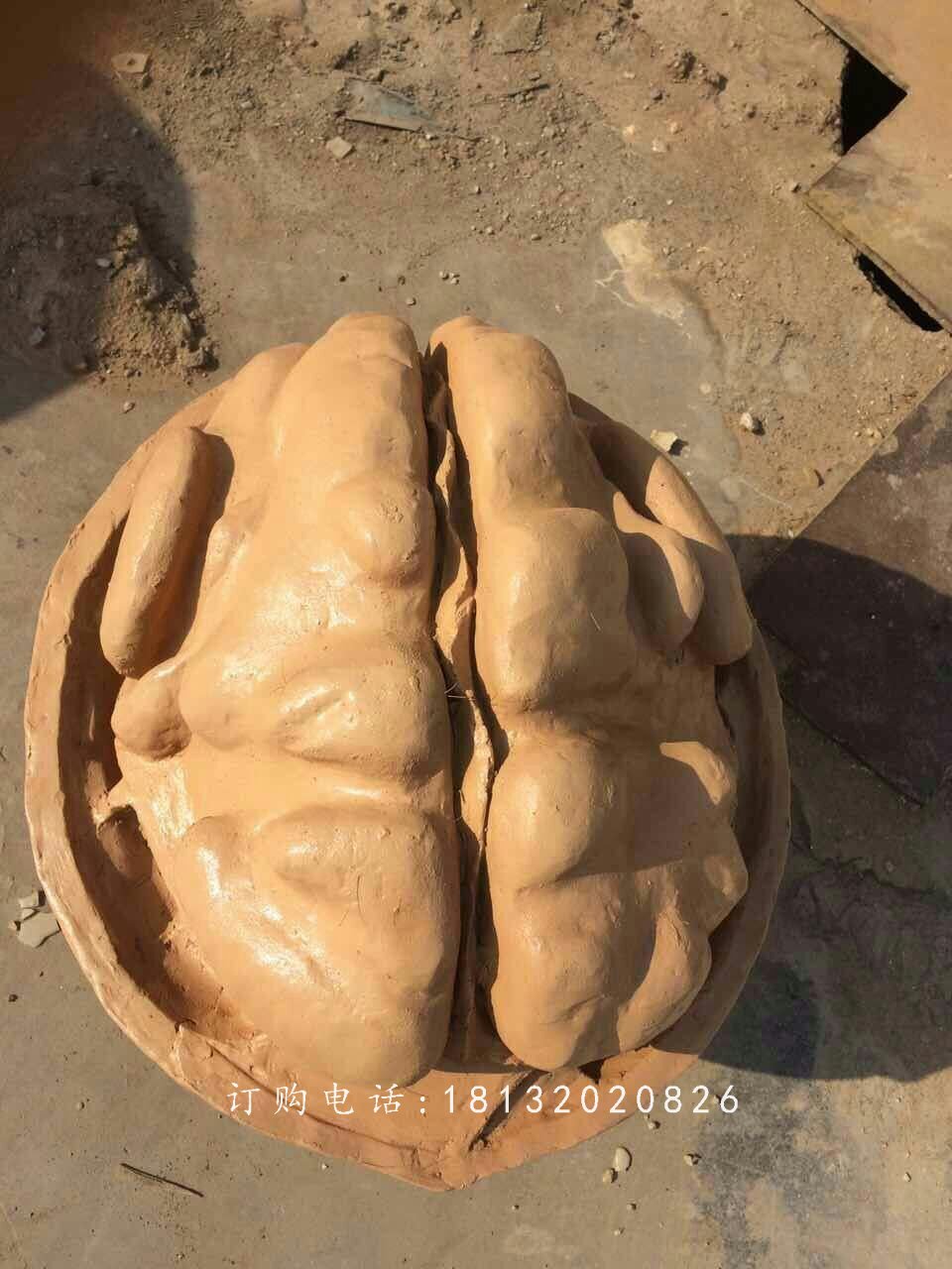 核桃雕塑，仿真玻璃鋼雕塑 (2)