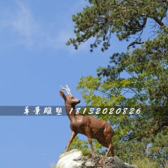 小鹿雕塑，玻璃鋼仿真動物