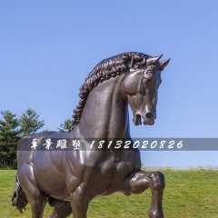 銅雕馬，公園仿真銅馬雕塑