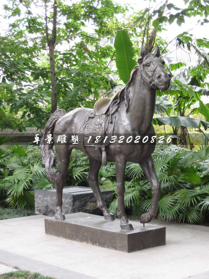 坐騎銅雕,公園銅馬雕塑 (2)