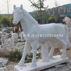 小馬駒石雕，漢白玉小馬駒石雕