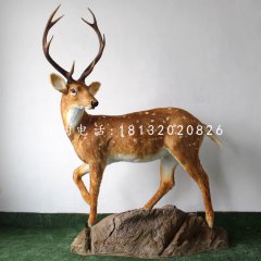 玻璃鋼梅花鹿，公園仿真動物