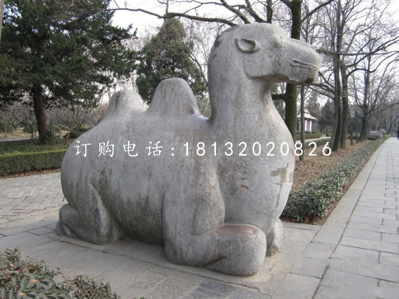 臥著的駱駝雕塑，公園動(dòng)物石雕