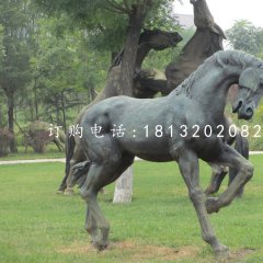 公園馬雕塑，銅雕馬